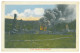 RO 09 - 25106 MORENI, Dambovita, Oil Wells, FIRE, Romania - Old Postcard - Unused - Roumanie