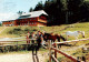 73935152 Geschwend_Todtnau_Baden Berggasthof Gisiboden Pferdekoppel - Todtnau