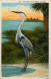 1926 DAYTONA - RIGA ( LETONIA ) , T.P. CIRCULADA , TASA , TAX , TAXE , " PIEMAKSAT " , THE GREAT BLUE HERON , BIRDS - Storia Postale