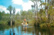 73131336 Fargo_Georgia Okefenokee Swamp - Sonstige & Ohne Zuordnung