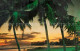 73130683 Waikiki Waikiki Beach Palmtrees Sunset - Autres & Non Classés