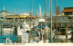 73130591 San_Francisco_California Fishermans Wharf - Other & Unclassified