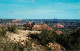73130022 Amarillo Palo Duro Canyon State Park - Other & Unclassified