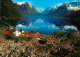 73151706 Oppstryn Dorf Am See Oppstrynsvatnet Berge Wasserspiegelung Baumbluete  - Norway