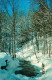 73132865 Janetville Landschaftspanorama Im Winter Bachlauf Janetville - Non Classificati