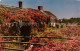 73127968 Chatham_Massachusetts Famous Rose Cottage - Autres & Non Classés