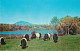 73126636 Rockport_Maine Belted Galloways - Autres & Non Classés