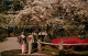 73123613 San_Francisco_California Japanese Tea Garden In Golden Gate Park Orient - Other & Unclassified