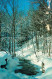 73123552 Janetville Winterlandschaft Bachlauf Janetville - Unclassified