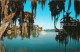 73060680 Florida_US-State Scenic Waterways - Autres & Non Classés