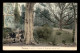 95 - TAVERNY - PARC DU CHATEAU DU TERTRE - CARTE COLORISEE - Taverny