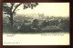 BELGIQUE - ROCHEFORT - PANORAMA PRIS DU FOND DES VAULX - EDITEUR NELS SERIE 8 N°64 - Rochefort