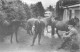 CPSM Horse Fair,Kerry-Timbre-RARE     L2871 - Kerry