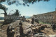 72461190 Jerusalem Yerushalayim Cattle Market  - Israel