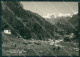 Aosta Gressoney Saint Jean Parletoa Mucche Foto FG Cartolina KV8095 - Aosta