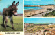 72762702 Barry The Sands Promenade Esel Barry - Autres & Non Classés