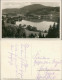 Titisee-Neustadt Titisee (Schwarzwald), Berge, See, Blick Zum Hochfirst 1930 - Titisee-Neustadt