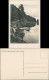 Ansichtskarte .Baden-Württemberg Partie Am Feldsee, Echtfoto-Postkarte 1930 - Feldberg