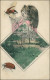 Ansichtskarte  Pfingsten - Fotokunst Mädchen Spielt Mit Maikäfer 1908 - Pentecost