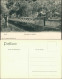 Ansichtskarte Tiergarten-Berlin Löwenbrücke 1908 - Tiergarten