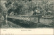 Ansichtskarte Tiergarten-Berlin Löwenbrücke 1908 - Dierentuin