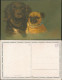 Ansichtskarte  Tiere - Hunde Wenau-Pastell Postkarte Künstlerkarte 1920 - 1900-1949