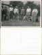 Männer Gruppe Mit Hunden, Real-Photo Men With Dogs 1934 Privatfoto - Personen