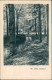Ansichtskarte  Stimmungsbilder: Natur Am Stillen Waldbach 1929 - Zonder Classificatie