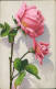 Ansichtskarte  Blumen Botonik Künstlerkarte Rosa Rosen 1928 - Pintura & Cuadros