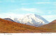 72646066 Mount_McKinley_Alaska Showing A Lone Caribou In Foreground Denali Natio - Other & Unclassified