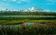 72642879 Mount_McKinley_Alaska McKinley National Park - Sonstige & Ohne Zuordnung