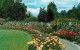 72642877 Victoria British Columbia The Rose Garden Butchart Gardens Victoria Bri - Unclassified