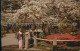 72458268 San_Francisco_California Japanese Tea Garden  - Otros & Sin Clasificación