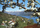 72458225 Hardanger Utne Panorama Hardanger - Norvège