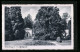 AK Oldenburg I. O., Pavillon Im Schlosspark  - Oldenburg