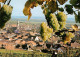 73929522 Ihringen_Kaiserstuhl Panorama Kirche - Ihringen