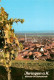 73929147 Ihringen_Kaiserstuhl Panorama - Ihringen