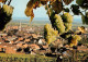 73929120 Ihringen_Kaiserstuhl Panorama - Ihringen