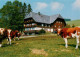 73928881 Titisee-Neustadt Buehlhof Gasthaus - Titisee-Neustadt