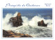 56-QUIBERON-N°4259-B/0293 - Quiberon