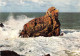 56-QUIBERON-N°4260-B/0387 - Quiberon