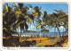 972-MARTINIQUE SAINTE MARIE-N° 4385-B/0307 - Sonstige & Ohne Zuordnung