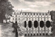 37-LE CHATEAU DE CHENONCEAU-N° 4387-C/0391 - Autres & Non Classés