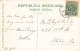 Mexico - A Mexican Cock Fight - Una Pelea De Gallos - Ed. Newman Post Card Co. 36 - Mexique