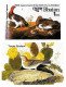 Bhutan 1985 Birds Audubon Complete Set Of 8 "Imperf" Stamps With Vignette MNH, As Per Scan, Only One Available - Otros & Sin Clasificación