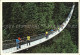 72416979 North Vancouver The World-Famous Capilano Suspension Bridge Spans The B - Non Classificati