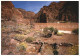 72405348 Colorado_US-State View Across The Colorado River Near Phantom Ranch Kai - Autres & Non Classés