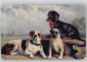 12004305 - Dackel Tuck AK Nr. 467 B  Serie Hundegruppen - Hunde