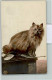 39158905 - - Katzen