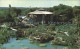 72310345 San_Antonio_Texas Chinese Tea Garden  - Altri & Non Classificati